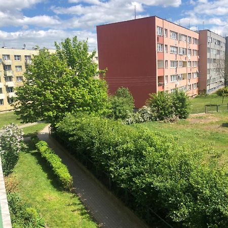 Noclegi Na Sudeckim Świebodzice Dış mekan fotoğraf