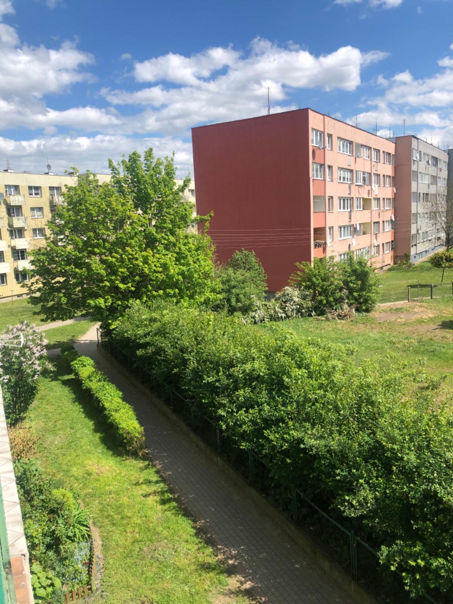 Noclegi Na Sudeckim Świebodzice Dış mekan fotoğraf